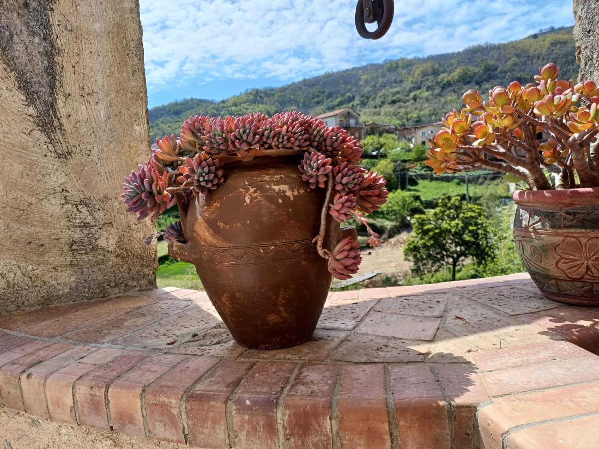 Country House B&B Antica Dimora Del Sole Camerota Exterior foto